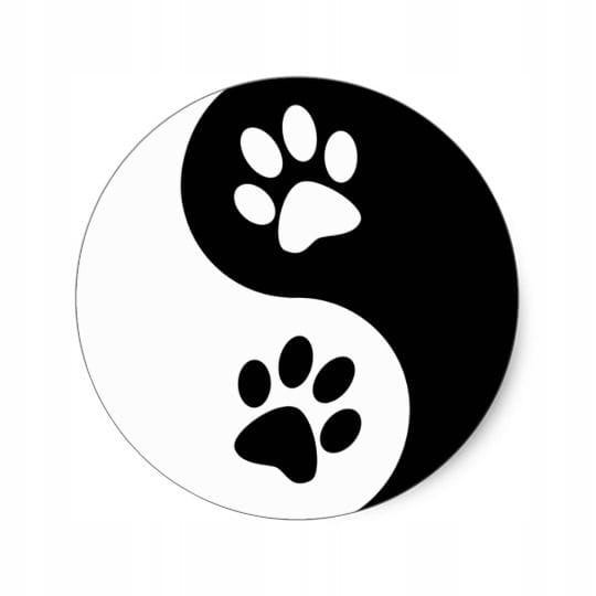 a025b92d987bd1c656531e503e5772ae