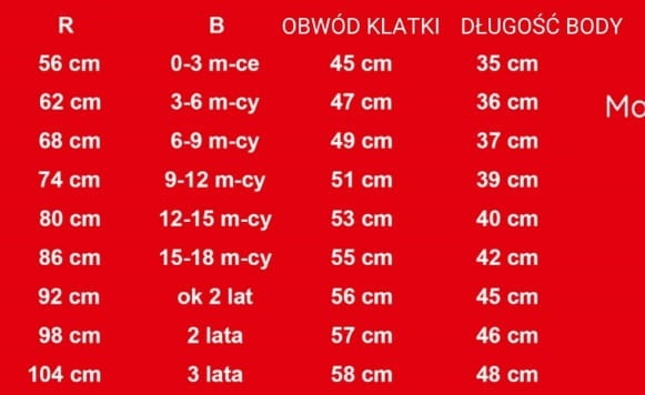 rozmiarówka body.jpg
