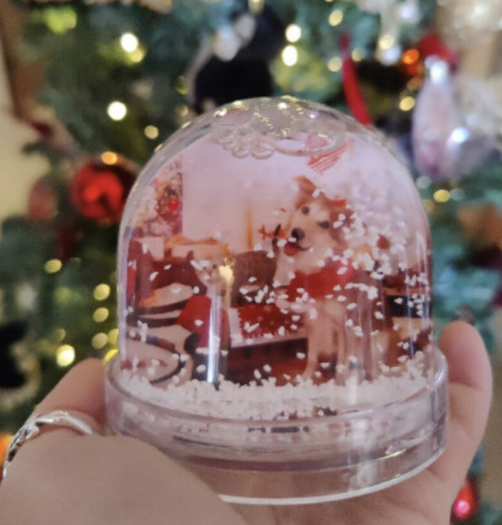 Screenshot 2025-12-11 at 15.22.16.png