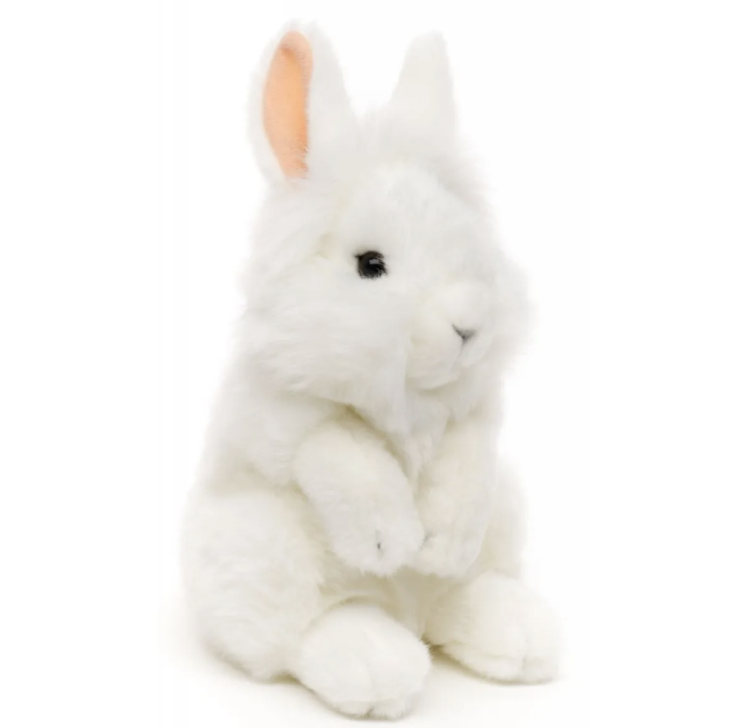 Screenshot 2026-03-01 at 20.29.24.png