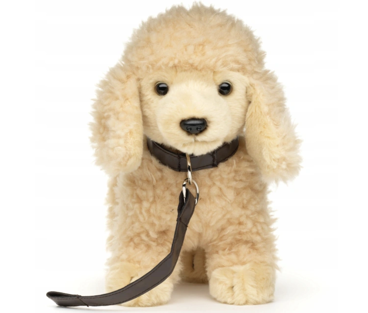 Screenshot 2026-03-01 at 20.38.21.png