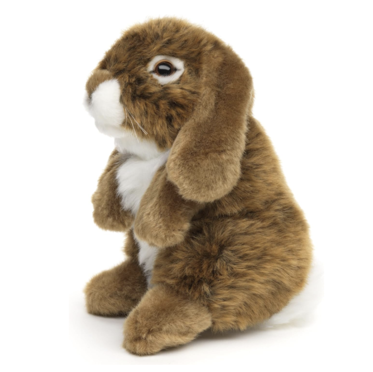 Screenshot 2026-03-01 at 20.44.28.png