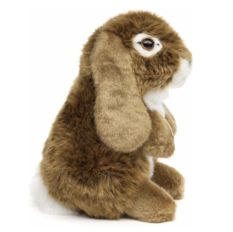 Screenshot 2026-03-01 at 20.44.46.png