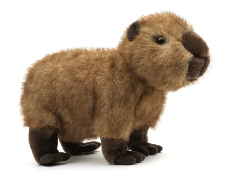 Screenshot 2026-03-01 at 20.54.22.png