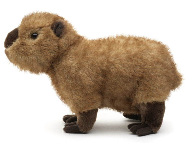 Screenshot 2026-03-01 at 20.54.35.png