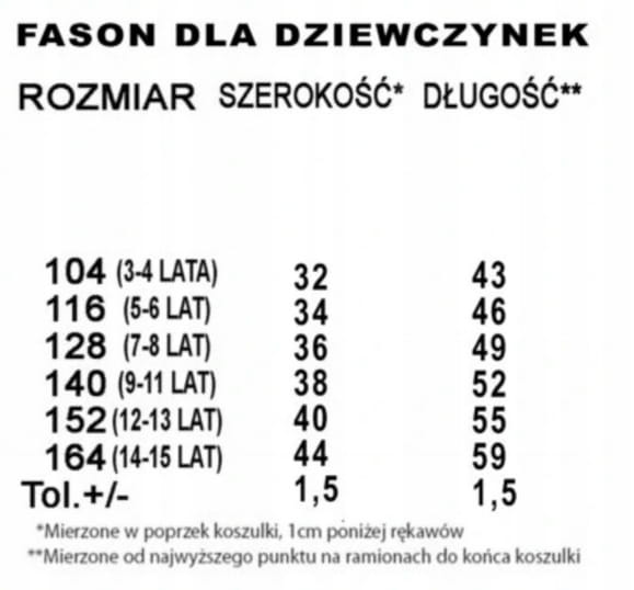 Koszulki - dla Niej i dla Niego - Flinstonowie - różne kolory - obrazek 7