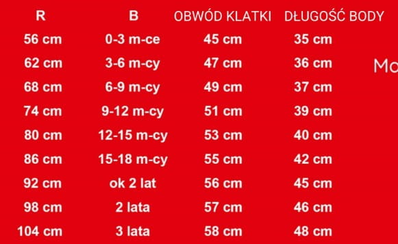 Zestaw koszulek dla Mamy i Córki - jaka Mama taka Córka - obrazek 3